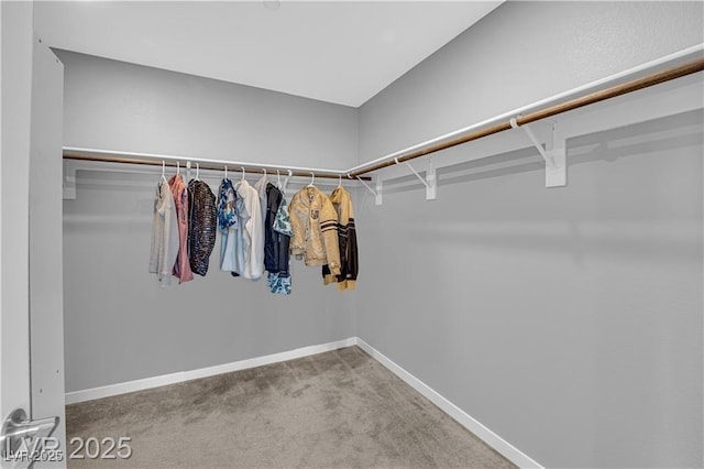 3192 Timorasso Ave, Henderson, NV 89044 - spacious closet with carpet