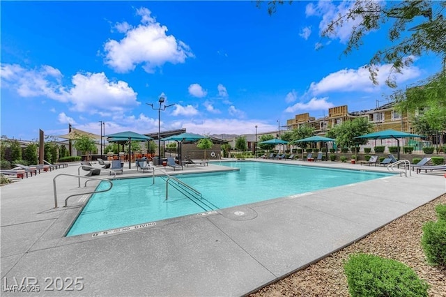 3192 Timorasso Ave, Henderson, NV 89044 - community pool featuring a patio and fence