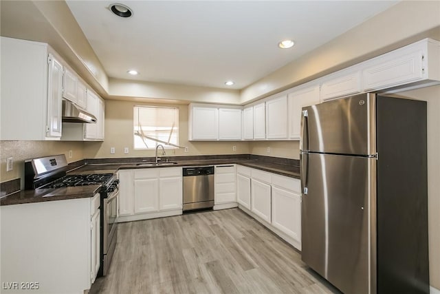 1117 Coral Crystal Ct, North Las Vegas, NV 89032 - kitchen with appliances with stainless steel finishes, under cabinet range hood, a sink, dark countertops, and recessed lighting