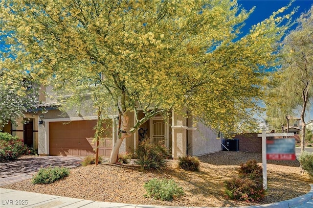 8164 Golden Cholla Ave, Las Vegas, NV 89179 - view of property hidden behind natural elements featuring stucco siding, a garage, and driveway