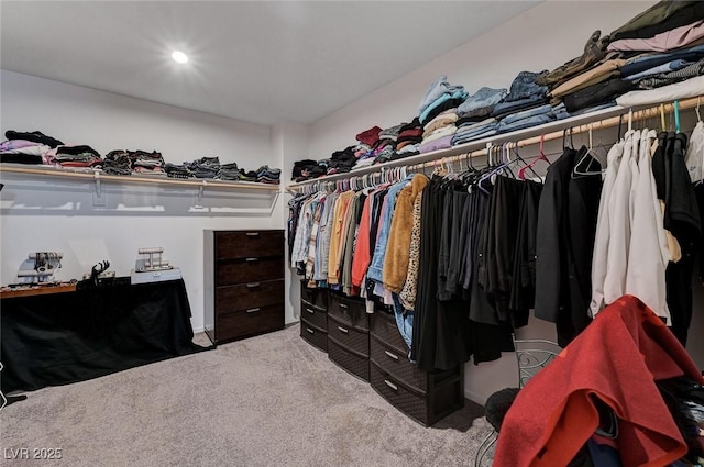 8164 Golden Cholla Ave, Las Vegas, NV 89179 - spacious closet featuring carpet