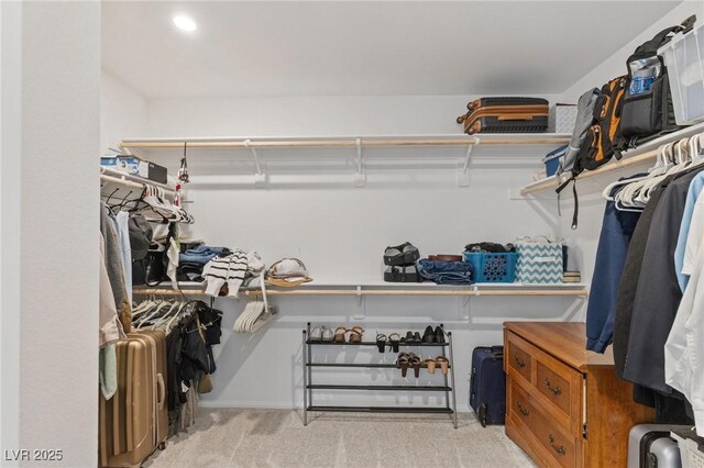10376 Sadie Blake Ave, Las Vegas, NV 89166 - walk in closet with carpet