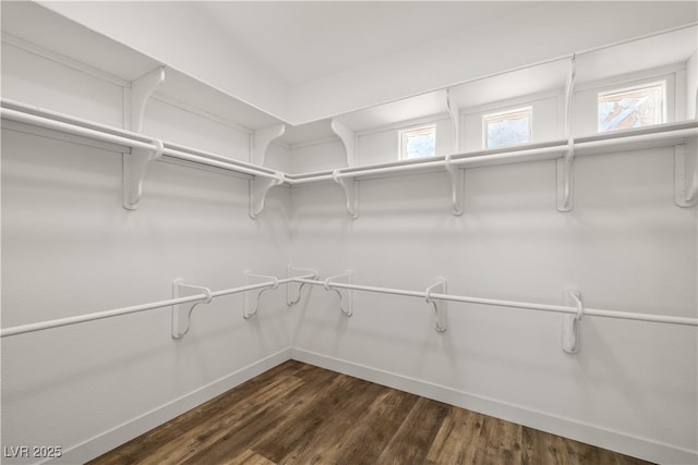 4607 El Camino Cabos Dr, Las Vegas, NV 89147 - walk in closet with dark wood finished floors