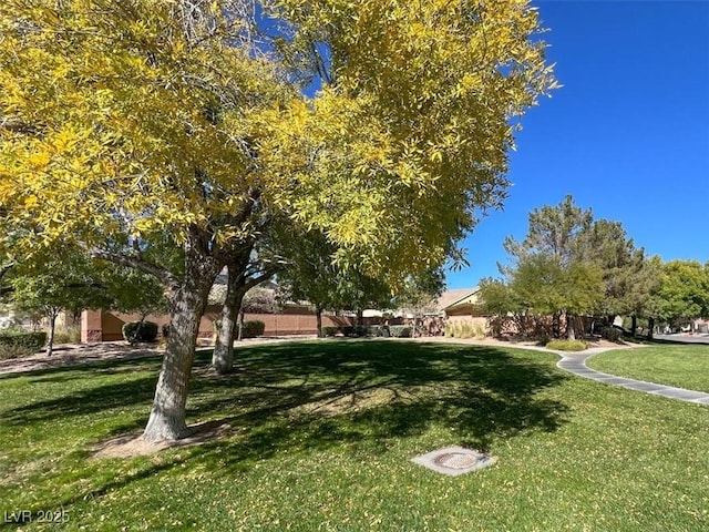 surrounding community featuring a lawn