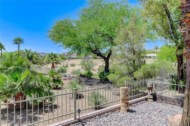 10237 Andante Ct, Las Vegas, NV 89135 - view of yard featuring fence