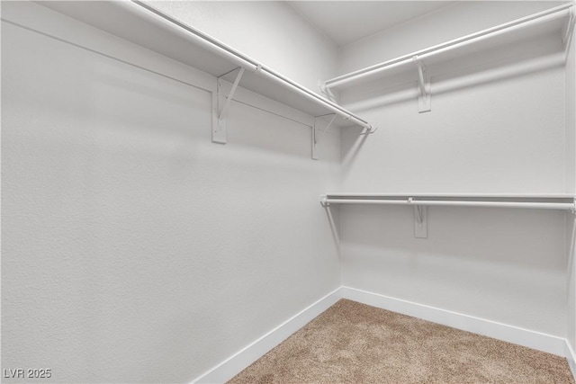 spacious closet with carpet flooring