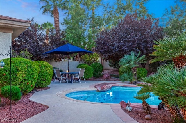 4649 Bird View Ct, Las Vegas, NV 89129 - view of pool featuring a patio area