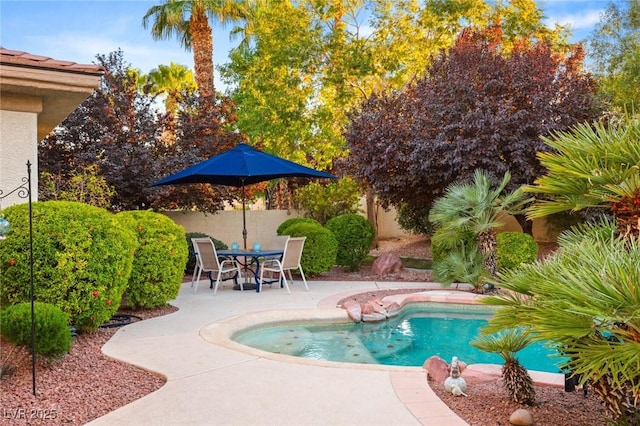 4649 Bird View Ct, Las Vegas, NV 89129 - view of pool with a patio and a fenced backyard