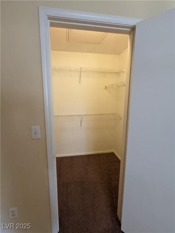 555 E Silverado Ranch Blvd Unit 2147, Las Vegas, NV 89183 - walk in closet featuring carpet floors