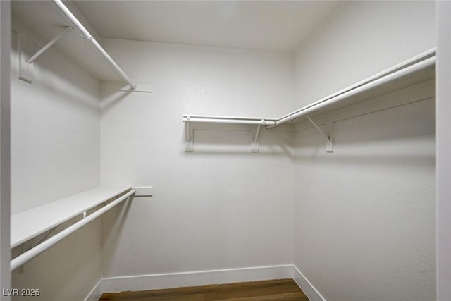 2725 S Nellis Blvd Unit 2036, Las Vegas, NV 89121 - walk in closet with wood finished floors
