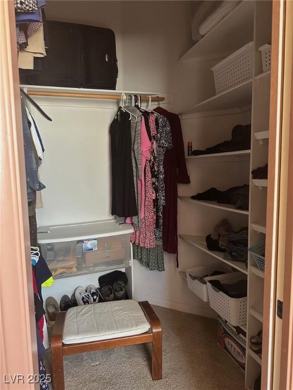 3551 Sagebrush Ave, Pahrump, NV 89048 - view of spacious closet