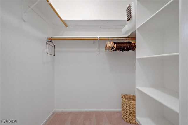 2325 Windmill Pkwy Unit 321, Henderson, NV 89074 - walk in closet featuring carpet floors