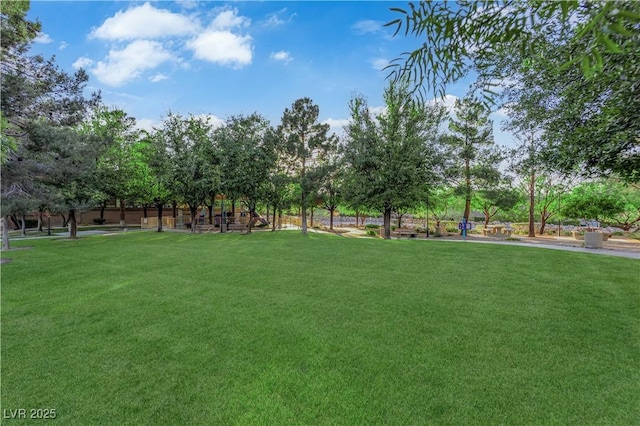 7183 Majestic Bluff Pl, Las Vegas, NV 89113 - view of green lawn