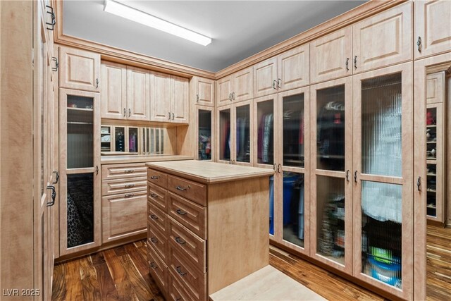 360 E Desert Inn Rd Unit 1901, Las Vegas, NV 89109 - walk in closet with dark wood-style flooring