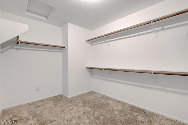 10735 Galveston Bay St, Las Vegas, NV 89179 - walk in closet with carpet floors and attic access