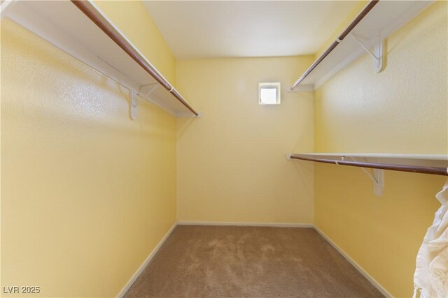 9753 Villa Lorena Ave, Las Vegas, NV 89147 - walk in closet with carpet flooring