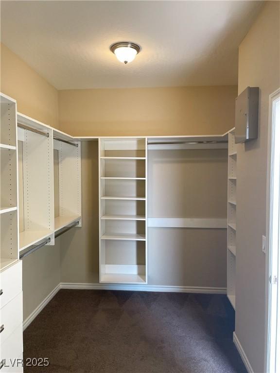 spacious closet featuring dark carpet
