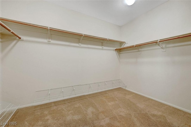 11444 Steponia Bay St, Las Vegas, NV 89141 - spacious closet featuring carpet
