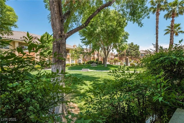 1050 E Cactus Ave Unit 1128, Las Vegas, NV 89183 - view of green lawn with a residential view