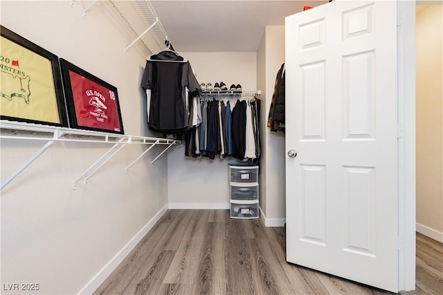 8717 Early Horizon Dr, Las Vegas, NV 89178 - spacious closet featuring wood finished floors