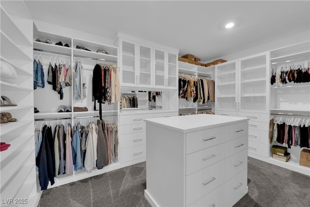 spacious closet with dark carpet