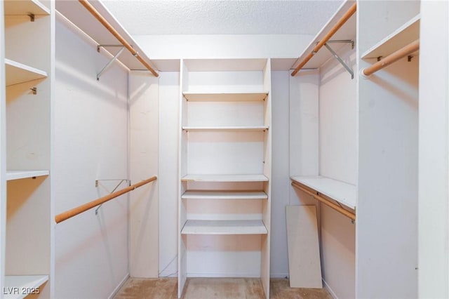 2700 Osborne Ln, Henderson, NV 89014 - view of spacious closet