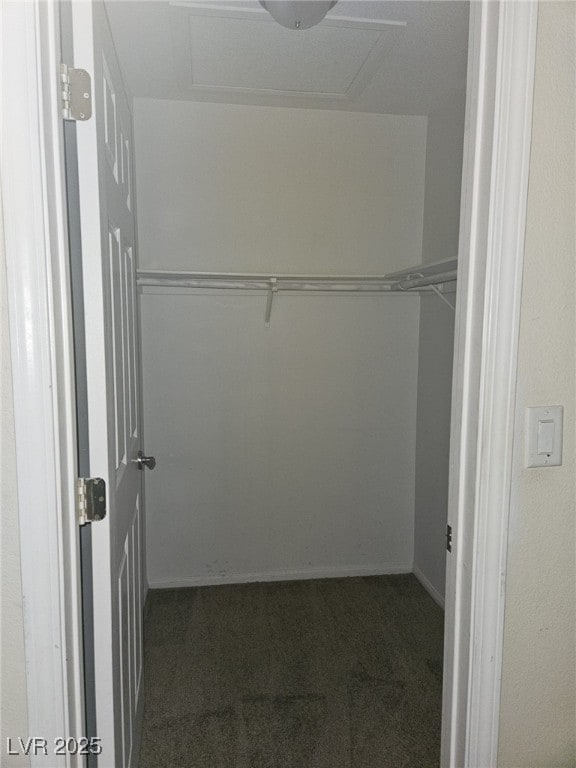 7300 Pirates Cove Rd Unit 2025, Las Vegas, NV 89145 - spacious closet with carpet and attic access