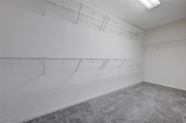484 Merseyside Dr, Las Vegas, NV 89178 - spacious closet featuring carpet flooring