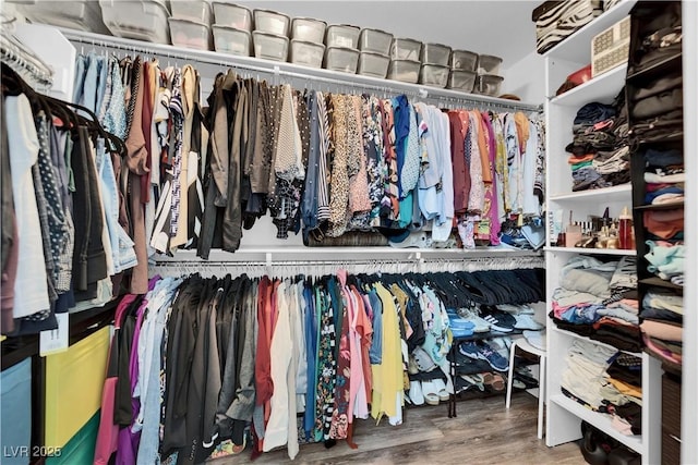 9141 Careful Canvas Ave, Las Vegas, NV 89149 - spacious closet with wood finished floors