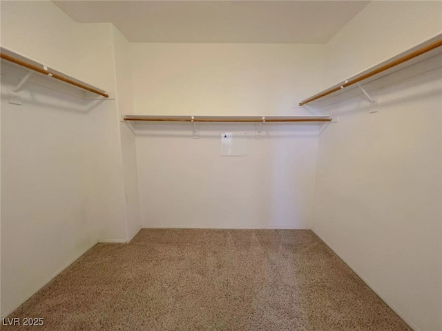 walk in closet with carpet flooring