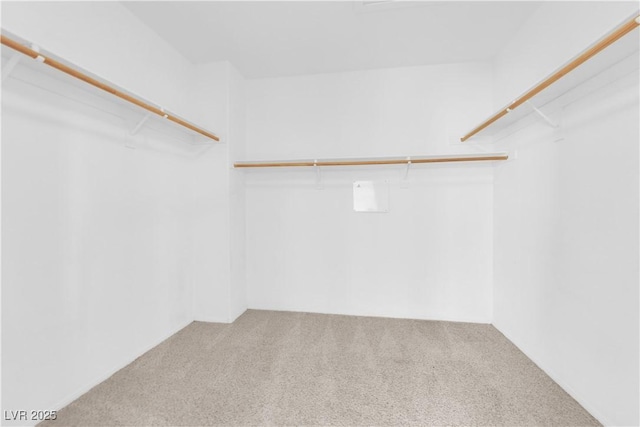 11237 Newbury Hills Ave, Las Vegas, NV 89138 - walk in closet featuring carpet flooring