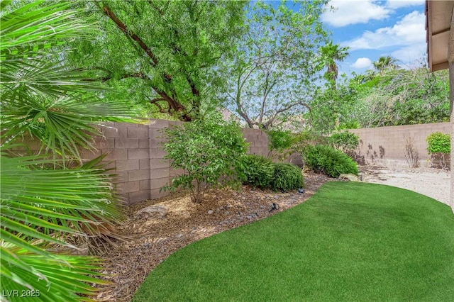 11237 Newbury Hills Ave, Las Vegas, NV 89138 - view of yard