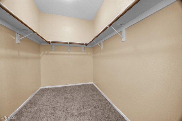 6088 Gulf Island Ave, Las Vegas, NV 89156 - walk in closet with carpet flooring