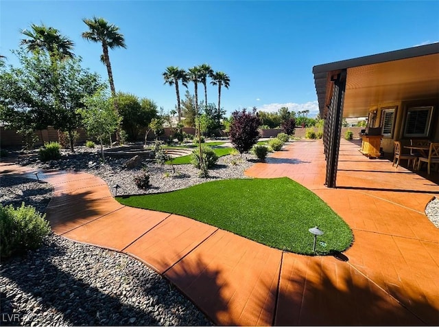 view of yard featuring a patio