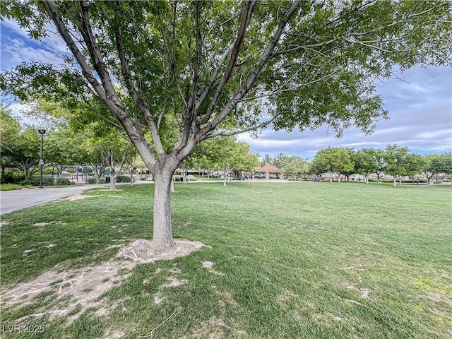 view of grassy yard