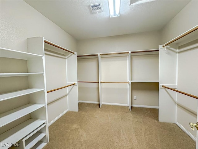 spacious closet featuring light carpet