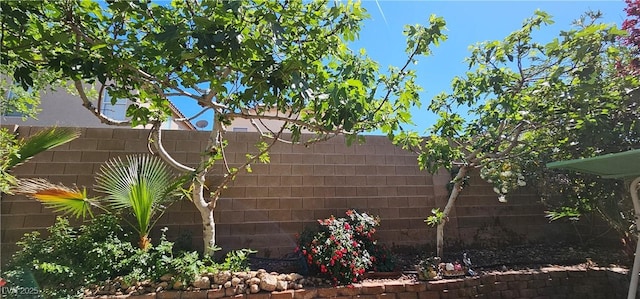 view of yard with fence