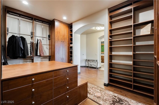 7625 Coley Ave, Las Vegas, NV 89117 - spacious closet with arched walkways and light wood-type flooring