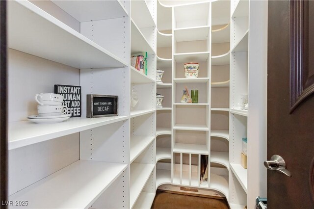 7625 Coley Ave, Las Vegas, NV 89117 - view of storage area