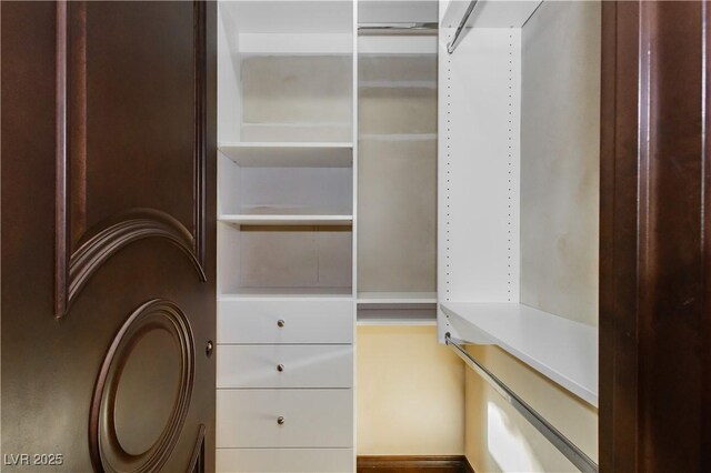 7625 Coley Ave, Las Vegas, NV 89117 - view of walk in closet