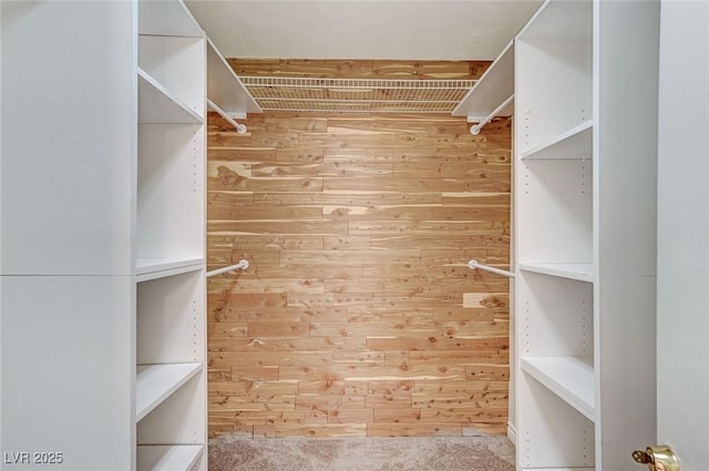 532 Greenbriar Pl, Boulder City, NV 89005 - view of spacious closet