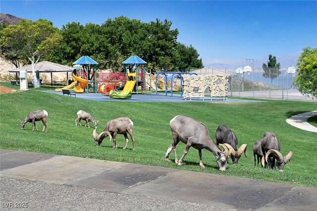 532 Greenbriar Pl, Boulder City, NV 89005 - community playground with a lawn
