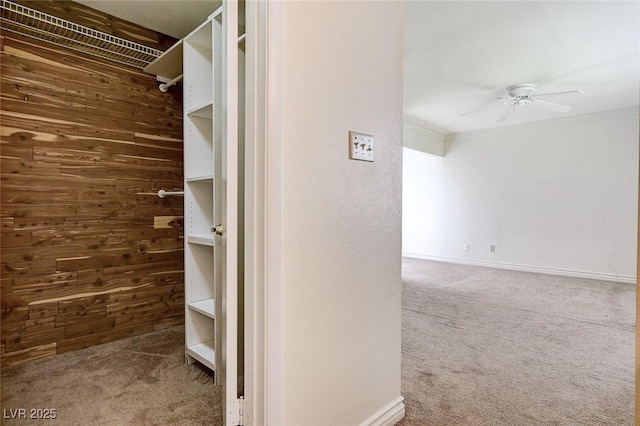 532 Greenbriar Pl, Boulder City, NV 89005 - walk in closet featuring carpet and a ceiling fan
