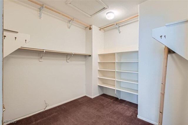 89 Autumn Day St, Henderson, NV 89012 - walk in closet with carpet flooring