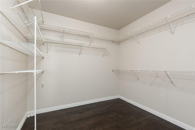 1924 Coralino Dr, Henderson, NV 89074 - walk in closet with wood finished floors