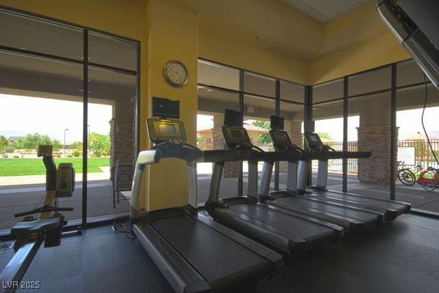 7404 Eggshell Dr, North Las Vegas, NV 89084 - gym with a high ceiling