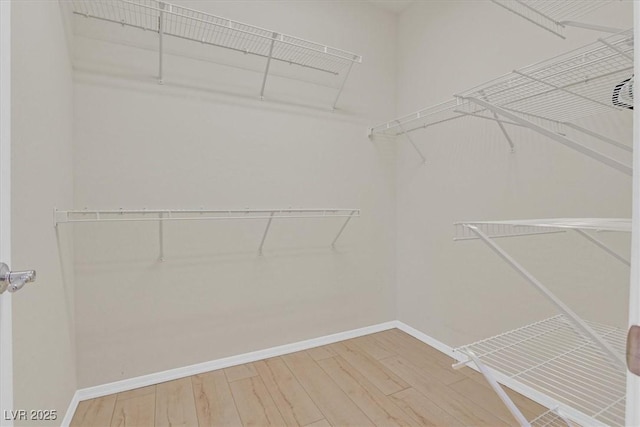 6039 Tokara Ave, Las Vegas, NV 89122 - walk in closet featuring wood finished floors