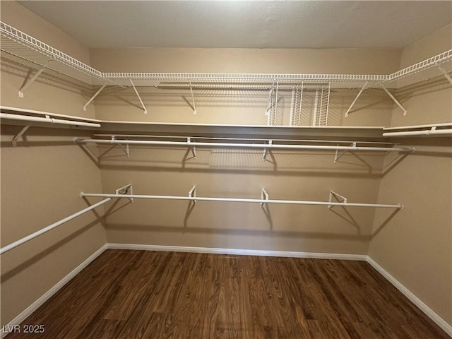 3136 Jane Austin Ave, North Las Vegas, NV 89031 - walk in closet with wood finished floors