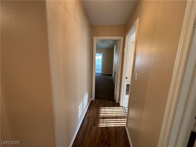 3136 Jane Austin Ave, North Las Vegas, NV 89031 - hall with dark wood finished floors and a textured wall