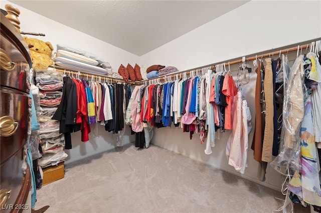 6999 Stone Meadows Ave, Las Vegas, NV 89142 - walk in closet featuring carpet